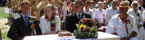 IMG_5383.jpg